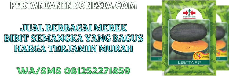 jual,bibit,murah,pertanian indonesia,jual merek bibit semangka yang bagus